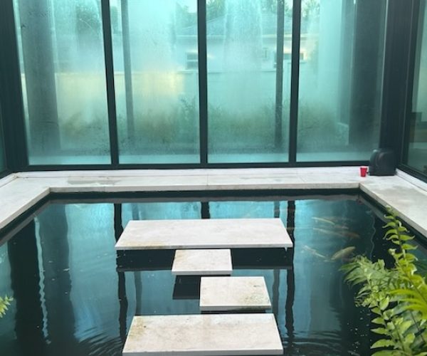 pond-doctor-pond-cleaners-in-long-beach-CA7